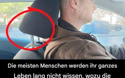 Warum sind Autokopfstützen mit Metallstangen ausgestattet? – Ein Sicherheitsmerkmal, das von Autofahrern oft übersehen wird.