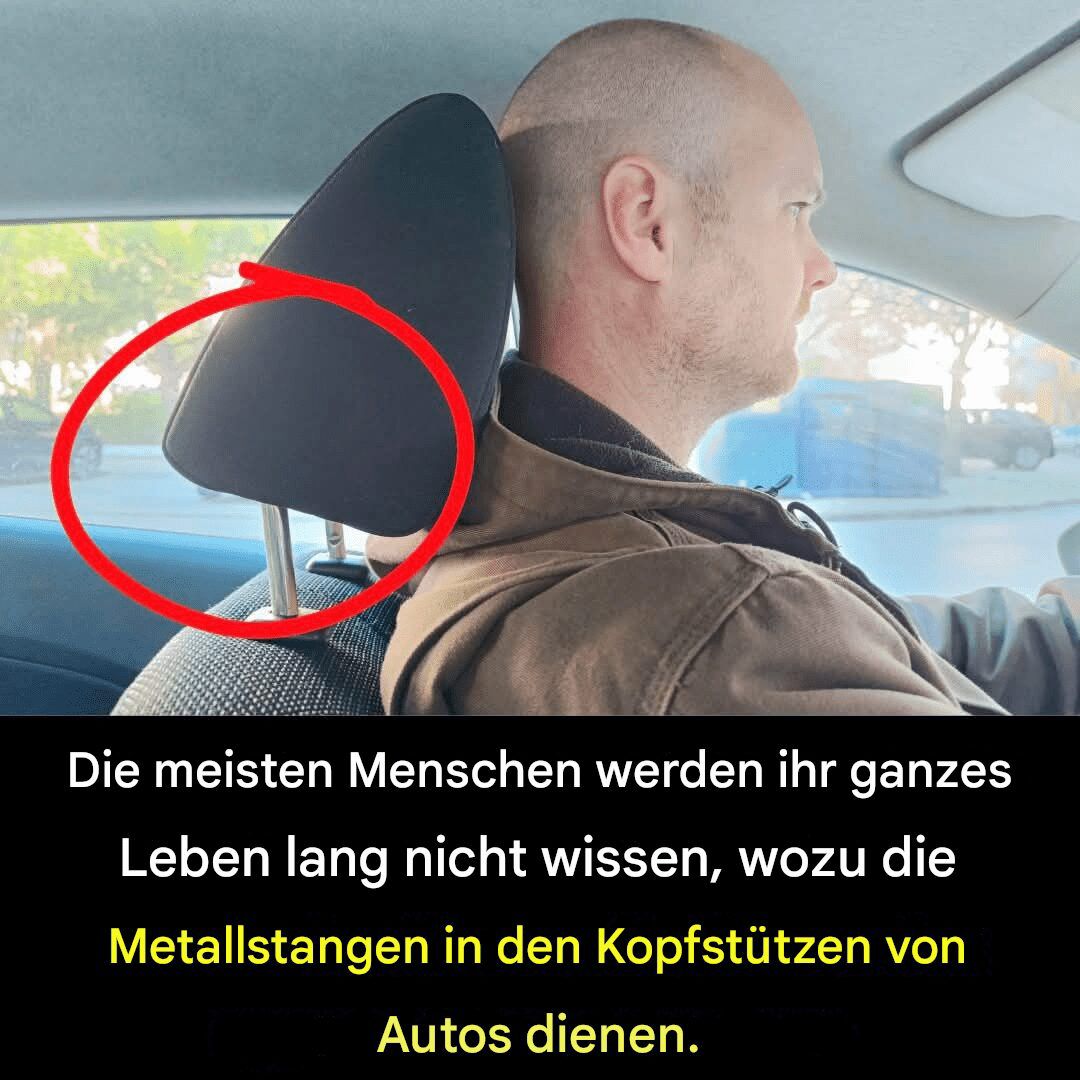 Warum sind Autokopfstützen mit Metallstangen ausgestattet? – Ein Sicherheitsmerkmal, das von Autofahrern oft übersehen wird.