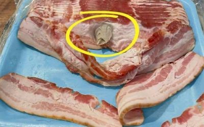 Ich ging in den Laden und kaufte mir Speck, den ich mit nach Hause nahm, um ihn zu essen.