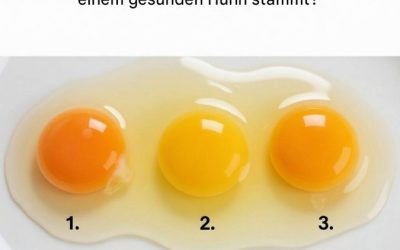 Mist, ich lag falsch!