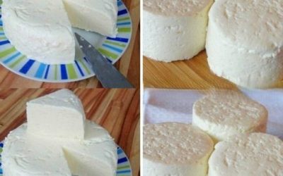 Wenn Sie 1 Liter Milch, Joghurt und eine halbe Zitrone haben, können Sie den besten hausgemachten Käse zubereiten