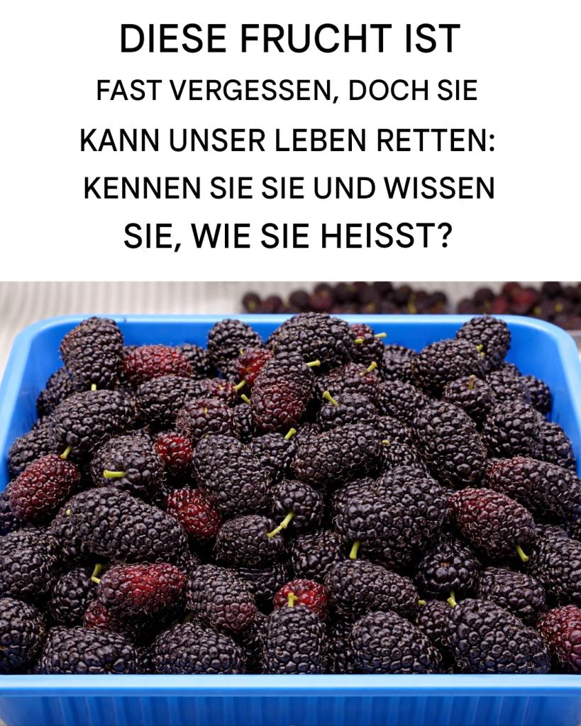 Schwarze Maulbeere: Reguliert den Blutdruck, verbessert das Sehvermögen, beugt Krebs vor und lindert Kopfschmerzen.
