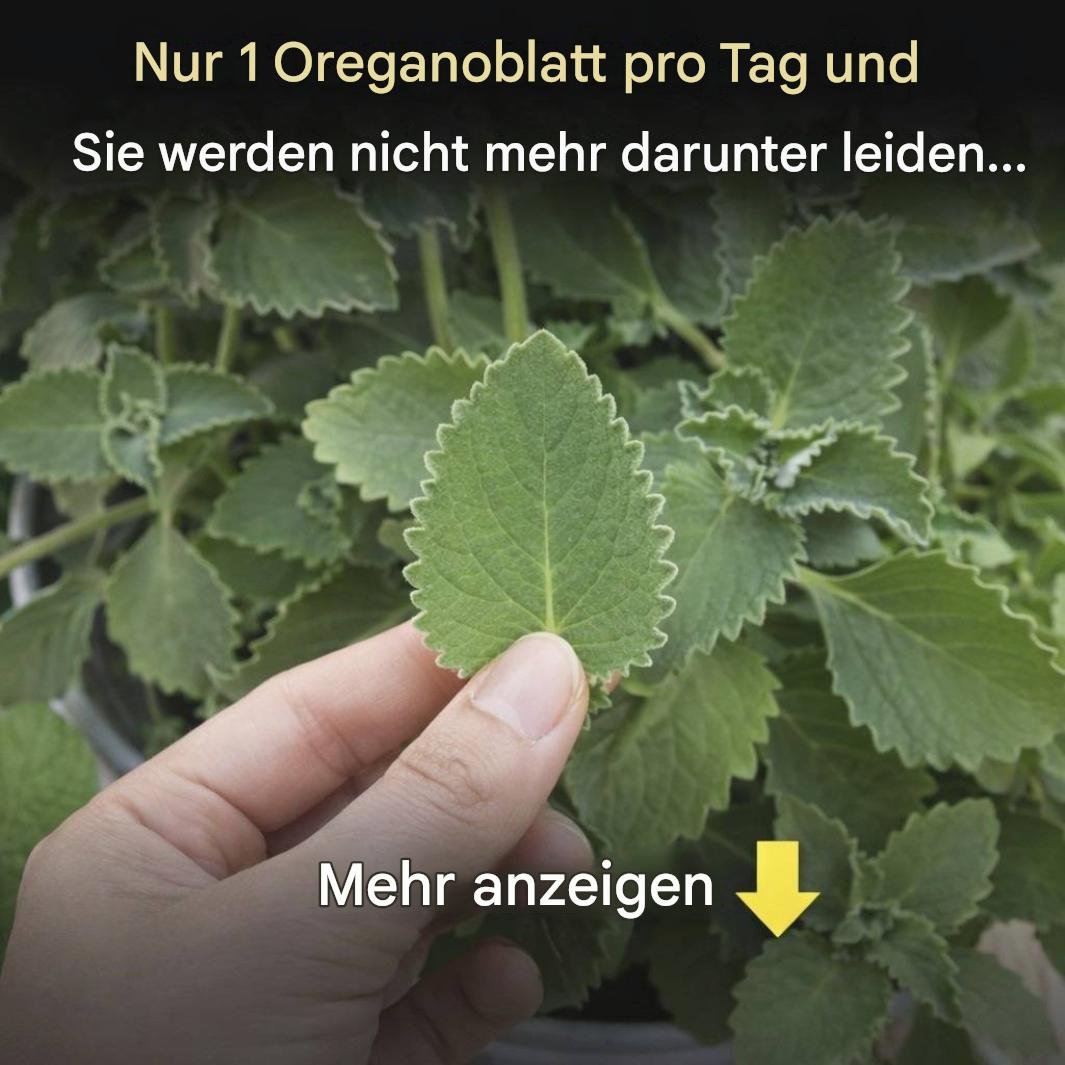 Wissenschaftlicher Blick auf die Rolle von Oregano für die Gesundheit