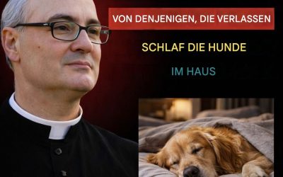 Ein Priester enthüllte, was in Haushalten passiert, in denen Hunde im Haus schlafen.