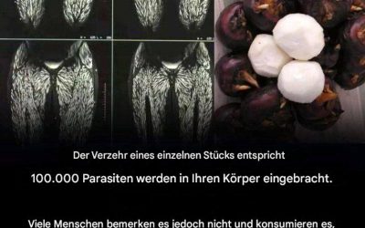Schon ein kleiner Bissen davon ist schädlich, aber viele Menschen essen es weiterhin bedenkenlos.