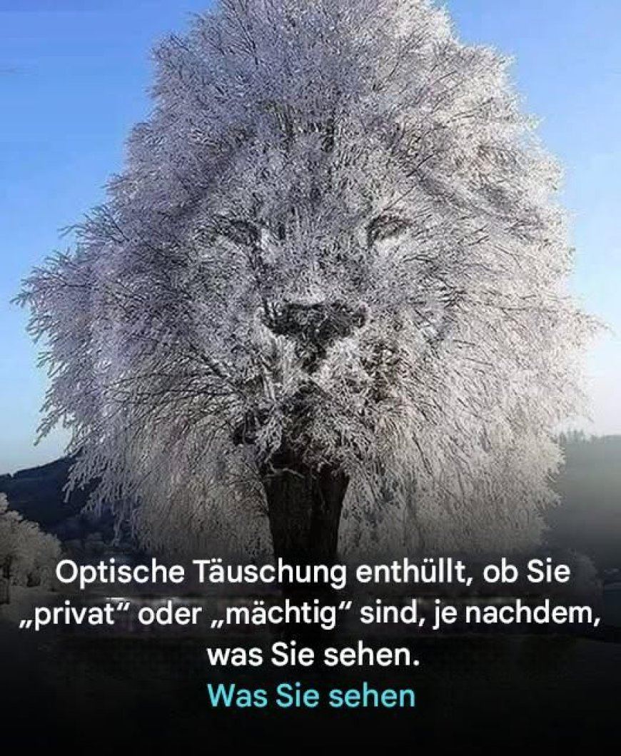 Eine optische Täuschung verrät Ihnen anhand dessen, was Sie sehen, ob Sie eher zurückhaltend oder mächtig sind