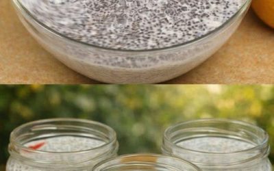 Cremiger Chia-Pudding (Gesundes Dessert ohne Kochen)