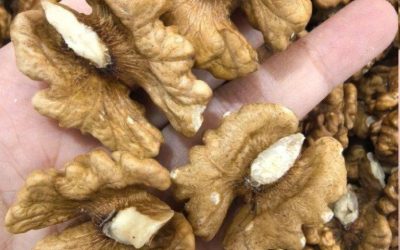 Ärzte enthüllen, dass der Verzehr von Walnüssen verursacht