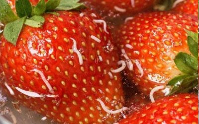 Ich habe Erdbeeren in Salzwasser eingeweicht, und daraus kamen diese weißen Dinger heraus?