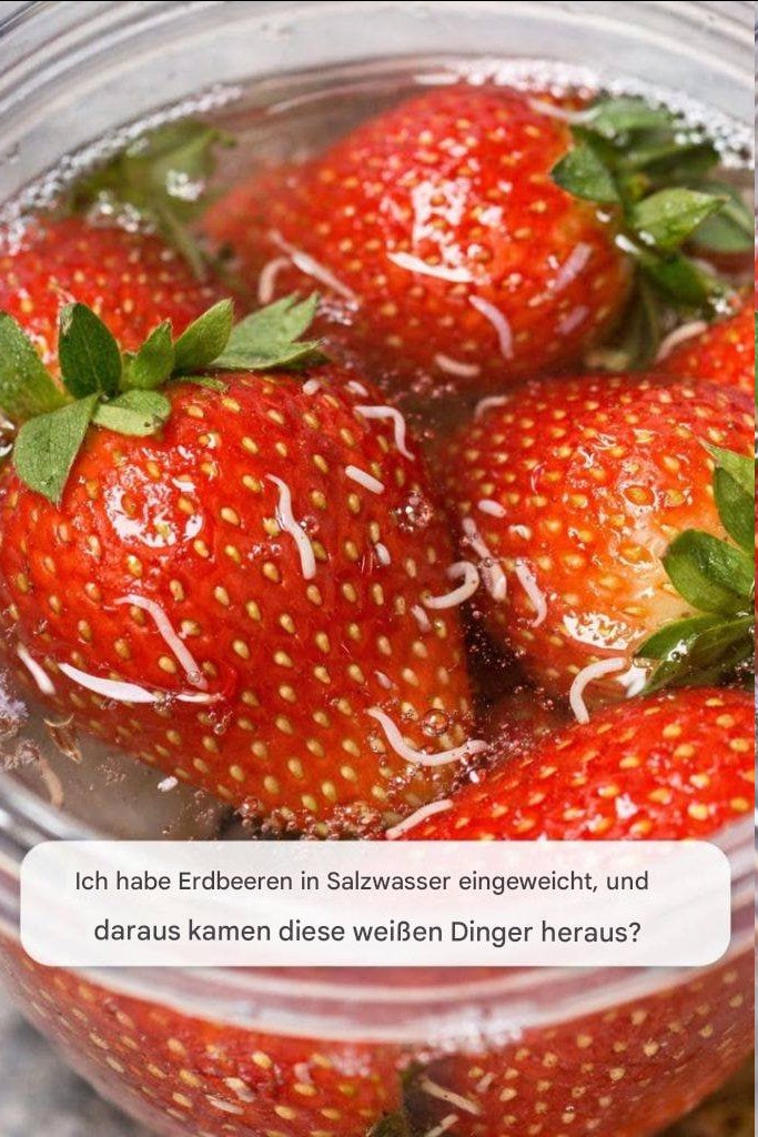 Ich habe Erdbeeren in Salzwasser eingeweicht, und daraus kamen diese weißen Dinger heraus?