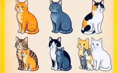Hast du die zusammengefassten Chats gesehen?🐱👀