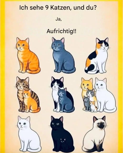 Hast du die zusammengefassten Chats gesehen?🐱👀