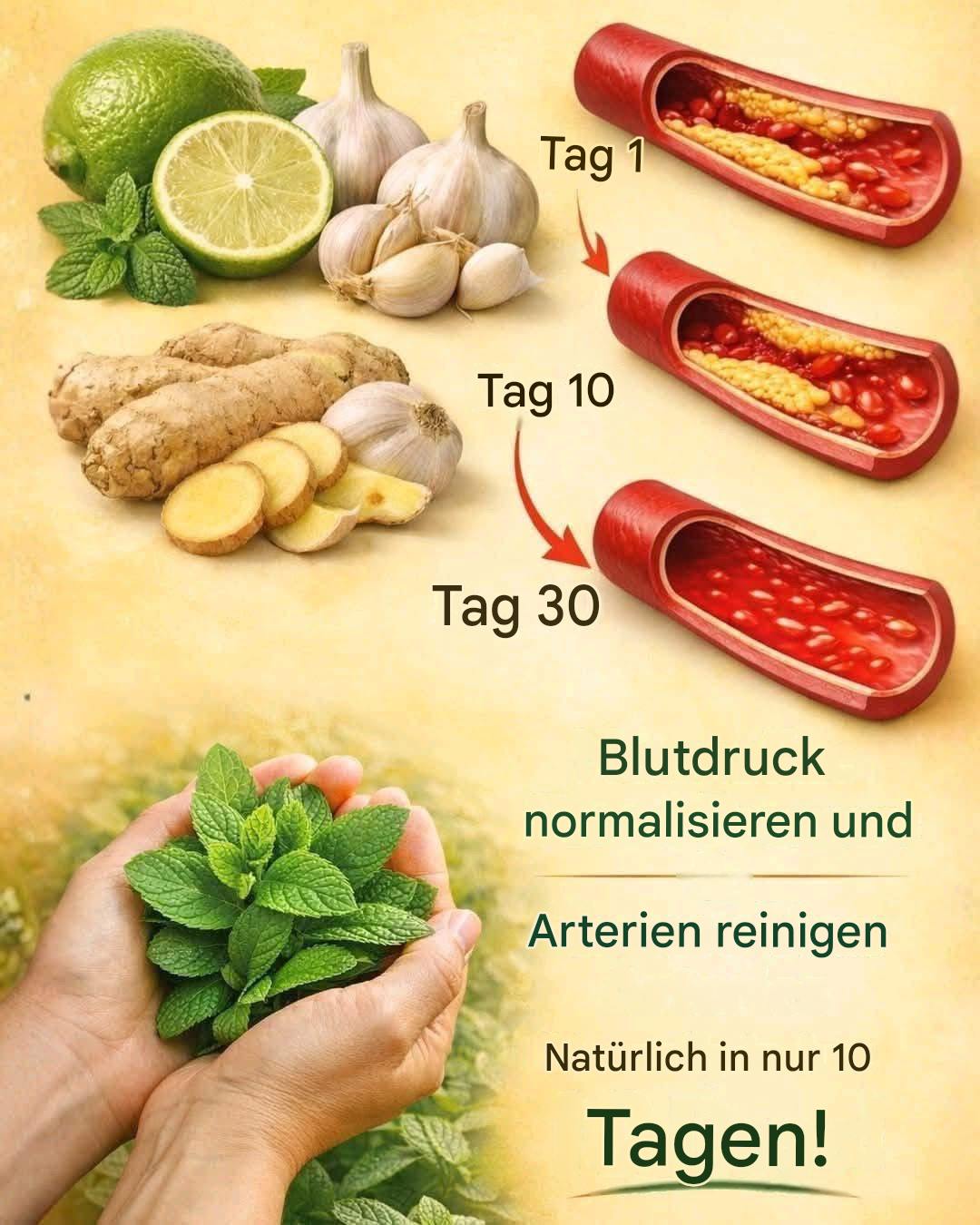 Verabschieden Sie sich von überlasteten Arterien mit diesen wirkungsvollen Lebensmitteln.