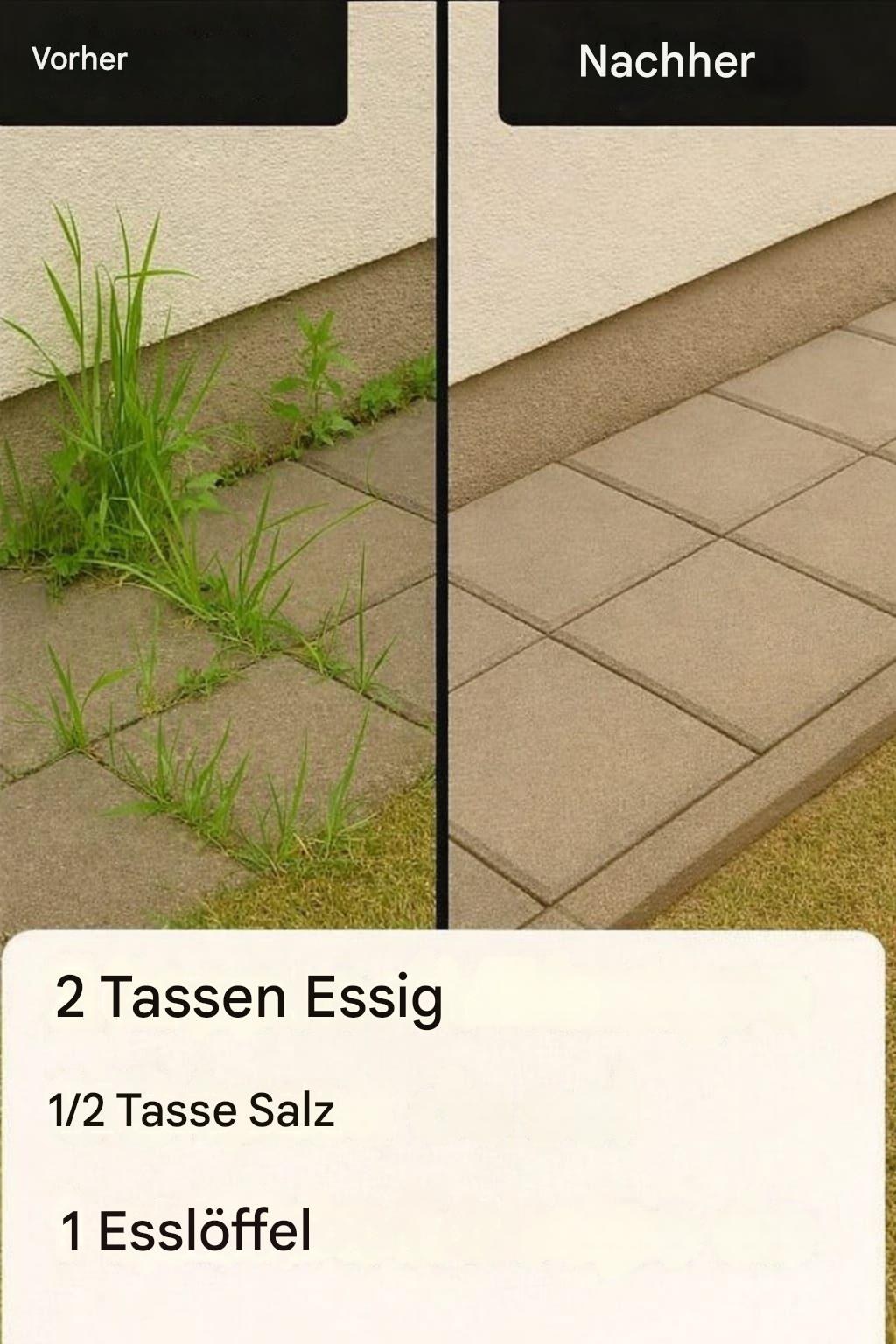 Wie man ein hochwirksames, selbstgemachtes Herbizid herstellt