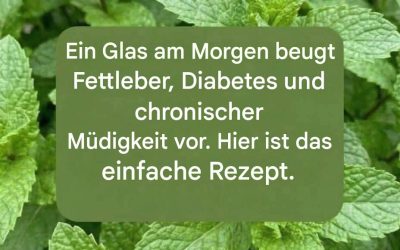 Pfefferminzsaft mit Zitrone: Vorteile, medizinische Anwendung und richtige Zubereitung