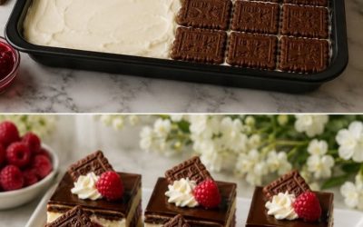 Himbeer-Keks-Schnitten mit Vanillecreme und Schokoladenglasur