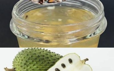 In Soursop-Samen: Verbindungen, Verwendungen und Vorsichtsmaßnahmen