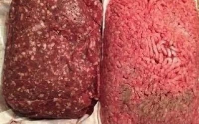 Den wahren Unterschied zwischen im Laden gekauftem und im landwirtschaftlichen Betrieb erzeugtem Rindfleisch verstehen