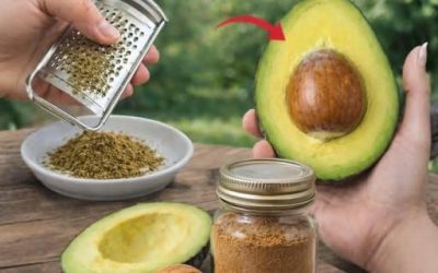 Werfen Sie den Avocadokern nicht weg: Praktische Tipps, Nährwertinformationen und clevere Verwendungsmöglichkeiten, die Sie kennen sollten