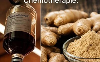 Wie Ingwer Stammzellen von Prostata-, Eierstock- und Darmkrebs besser angreift als eine Chemotherapie