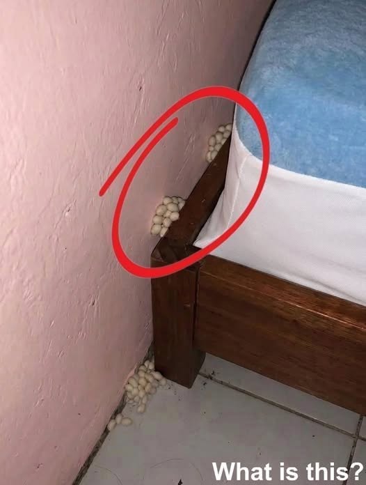 Als ich nach Hause kam, fiel mir etwas Ungewöhnliches neben meinem Bett auf Nach einem langen Arbeitstag freute ich mich nur noch auf etwas Ruhe. Doch als ich mein Schlafzimmer betrat, fiel mir neben dem Bett etwas Ungewöhnliches auf. Zunächst konnte ich nicht erkennen, worum es sich handelte, doch je genauer ich hinsah, desto mehr Fragen kamen mir in den Sinn. Aus einer kleinen Beobachtung wurde schnell eine spannende Suche nach Antworten. Was ich schließlich herausfand, zeigte mir, wie wichtig es ist, auch auf unscheinbare Details in den eigenen vier Wänden zu achten. Die ganze Geschichte und die überraschende Erklärung erfahrt ihr hier.