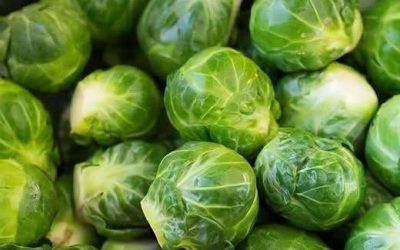 Mal ehrlich, isst hier irgendjemand tatsächlich Rosenkohl?