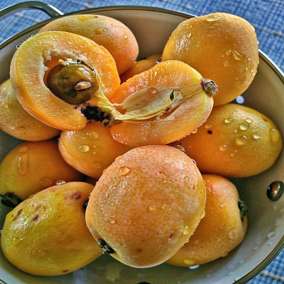 🍈 Die Mispel: die vergessene Frucht, die alle wieder erobert 😱
