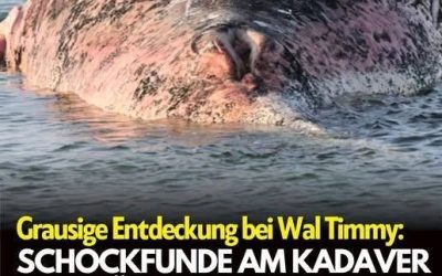 Neue Erkenntnisse sorgen für Aufmerksamkeit