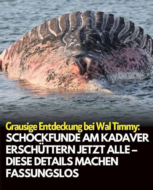 Neue Erkenntnisse sorgen für Aufmerksamkeit