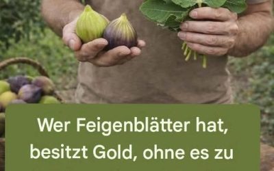 Feigenblätter: Die traditionelle Verwendung, die die moderne Wissenschaft mit zunehmendem Interesse analysiert
