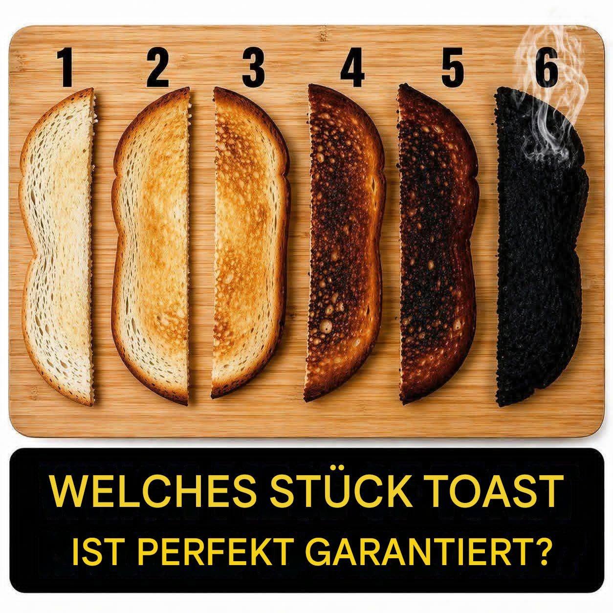 Welcher Toast ist perfekt?