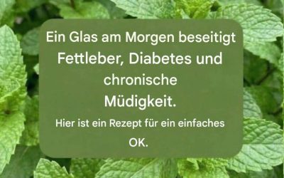 Minzsaft mit Zitrone: Eigenschaften, medizinische Anwendung und richtige Zubereitung