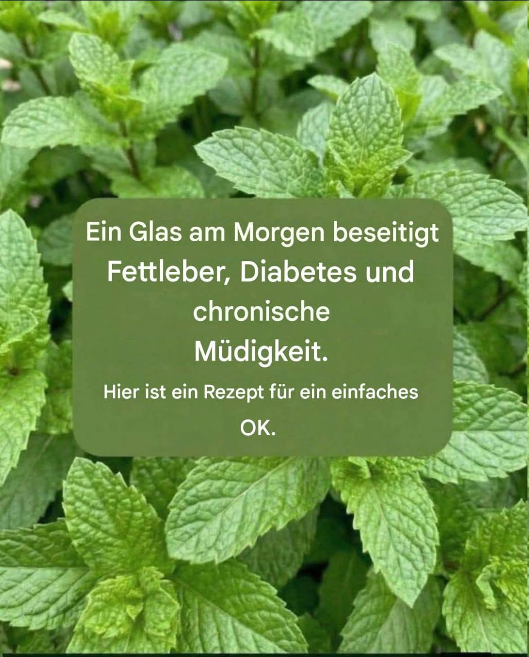 Minzsaft mit Zitrone: Eigenschaften, medizinische Anwendung und richtige Zubereitung