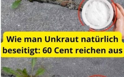 Wie man Unkraut natürlich beseitigt: 60 Cent reichen aus