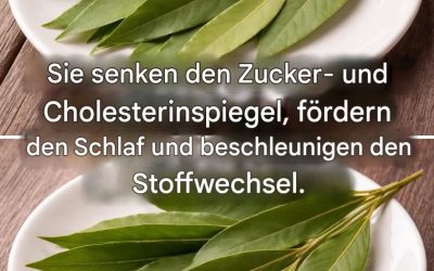 Lorbeerblätter: senken Blutdruck, Blutzucker und Cholesterin und helfen bei Schlaflosigkeit