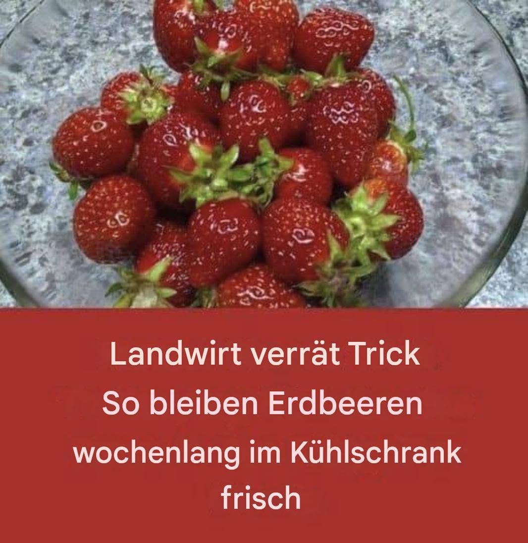 So bleiben Erdbeeren länger frisch