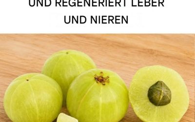 Die Frucht mit dem höchsten Antioxidantiengehalt: Sie regeneriert die Leber und enthält 20-mal mehr Vitamin C als Orangensaft.