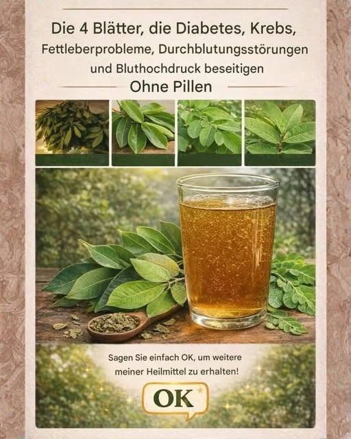 Die vier Heilblätter: Avocado, Mango, Lorbeerblatt und Guave