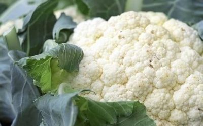Ärzte enthüllen, dass Blumenkohl die Ursache ist… …Weiterlesen Lies es in den Kommentaren