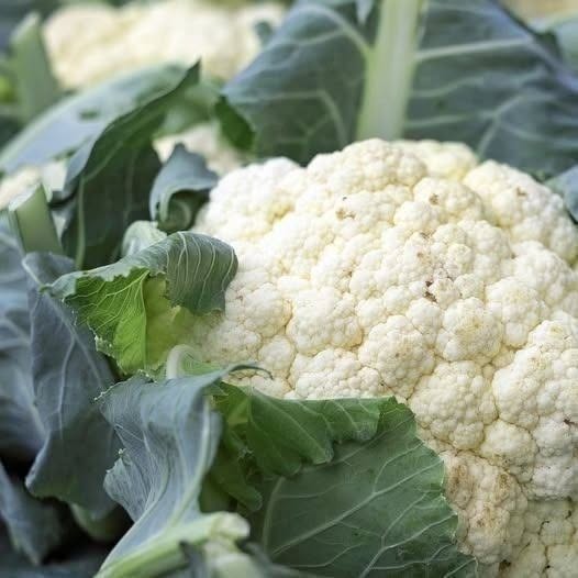 Ärzte enthüllen, dass Blumenkohl die Ursache ist… …Weiterlesen Lies es in den Kommentaren