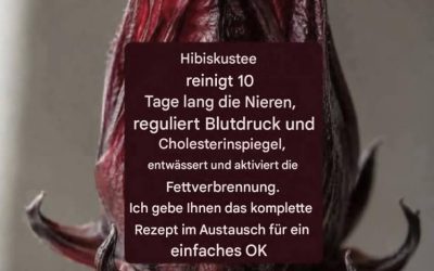 Gewürzter Hibiskustee