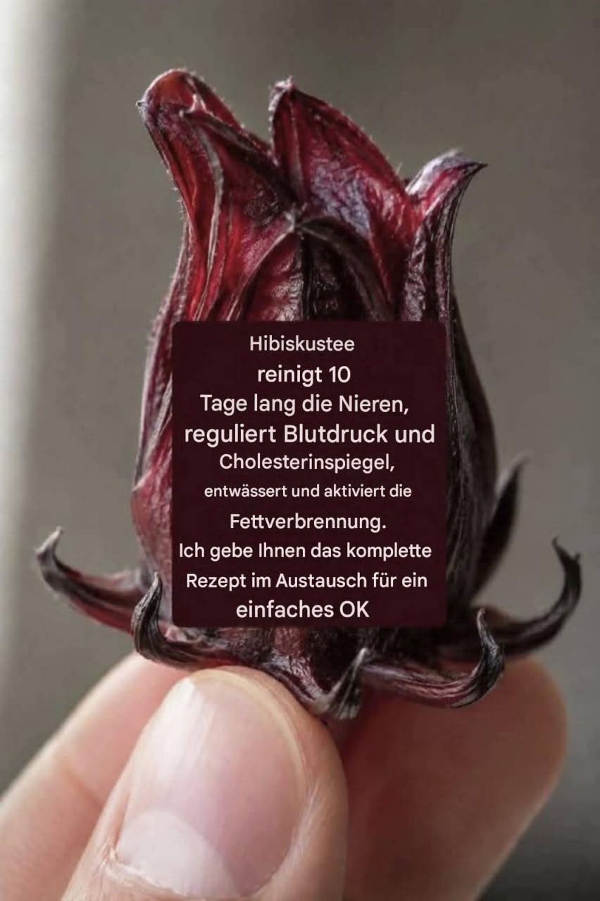 Gewürzter Hibiskustee