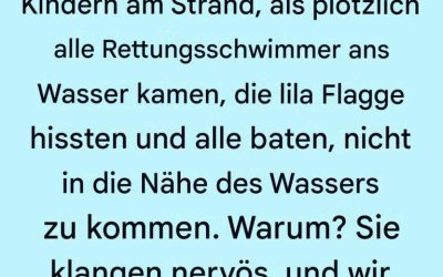 Die lila Flagge am Strand: Was sie wirklich bedeutet (und warum Sie darauf achten sollten)