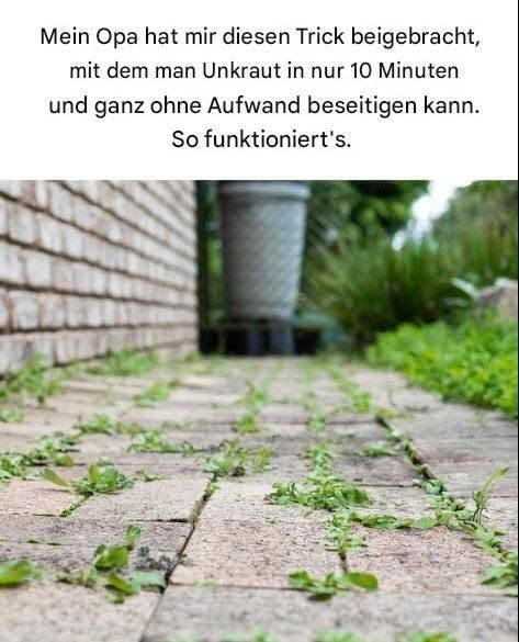 Mein Opa hat mir diesen einfachen Trick beigebracht, um Unkraut in nur 10 Minuten zu beseitigen – fast ohne Aufwand.