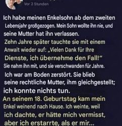 Eine Großmutter zog ihren Enkel wie ihren eigenen Sohn auf, bevor er ihr weggenommen wurde. Jahre später klopfte jemand an ihre Tür und veränderte