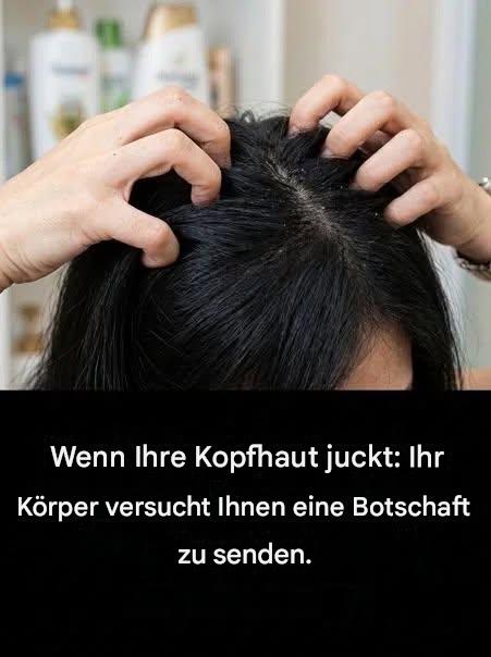 Juckt Ihre Kopfhaut? Wir erklären Ihnen die Ursachen des Problems.