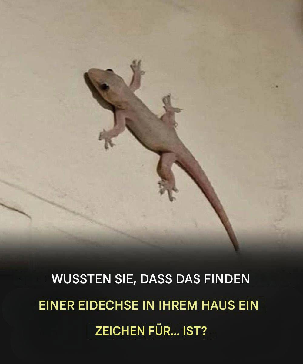 Die spirituelle Bedeutung einer Eidechse, die in verschiedene Kulturen in Ihr Haus eindringt