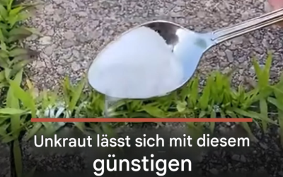 Unkraut lässt sich mit diesem günstigen Küchenzutat, die Sie bereits zu Hause haben (ohne Gift), bekämpfen.