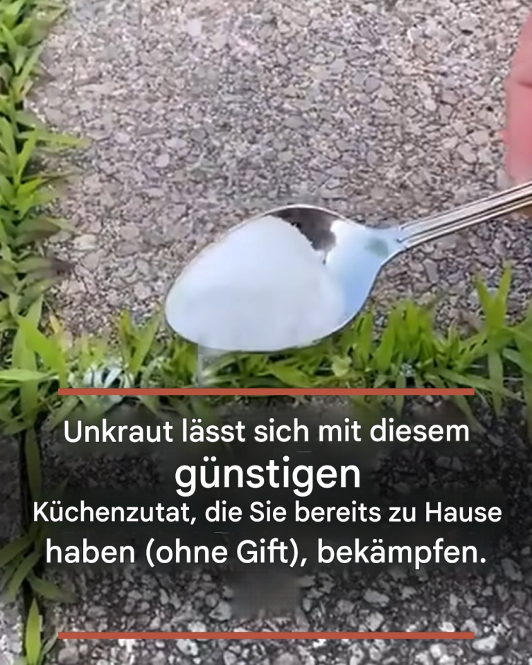 Unkraut lässt sich mit diesem günstigen Küchenzutat, die Sie bereits zu Hause haben (ohne Gift), bekämpfen.