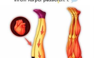 Heben Sie Ihre Beine jeden Tag hoch und 7 überraschende Dinge werden mit Ihrem Körper passieren!